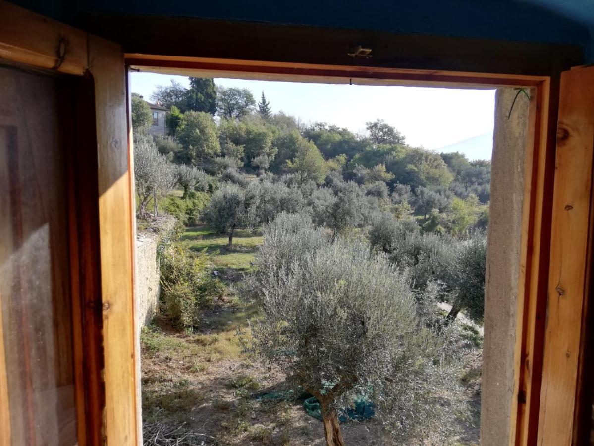Agriturismo Casamatta Azienda Agricola Calenzano Kültér fotó