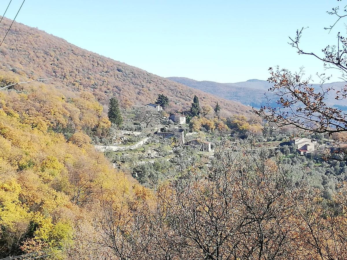 Agriturismo Casamatta Azienda Agricola Calenzano Kültér fotó