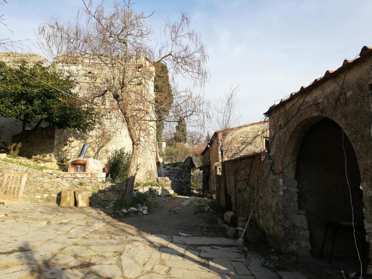 Agriturismo Casamatta Azienda Agricola Calenzano Kültér fotó
