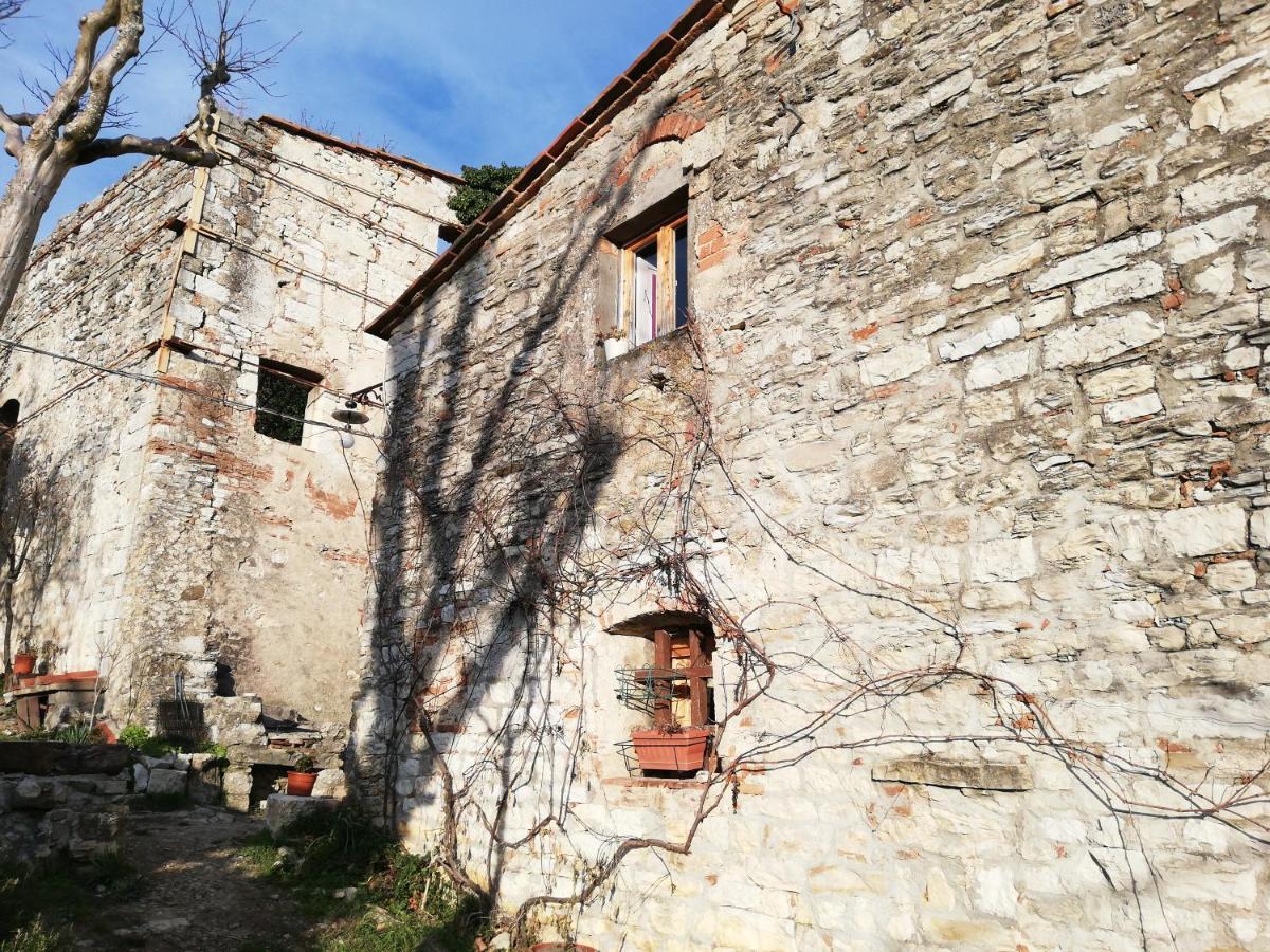 Agriturismo Casamatta Azienda Agricola Calenzano Kültér fotó