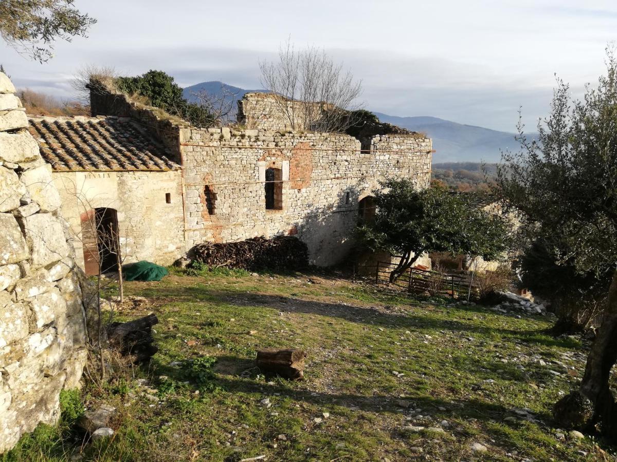 Agriturismo Casamatta Azienda Agricola Calenzano Kültér fotó