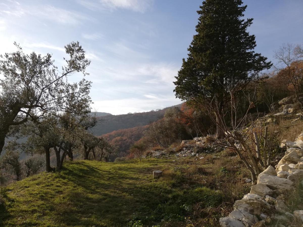 Agriturismo Casamatta Azienda Agricola Calenzano Kültér fotó