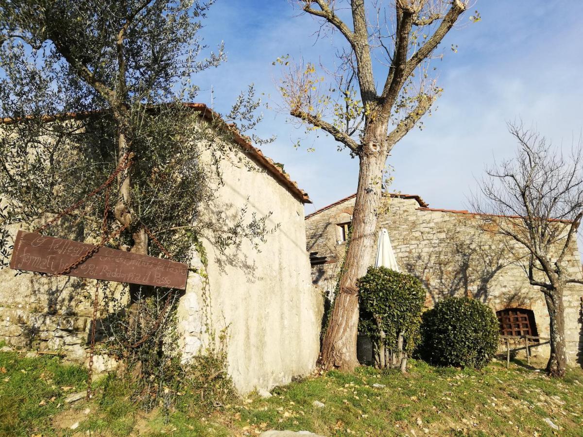Agriturismo Casamatta Azienda Agricola Calenzano Kültér fotó