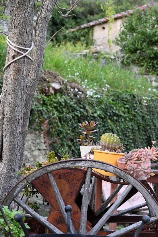 Agriturismo Casamatta Azienda Agricola Calenzano Kültér fotó